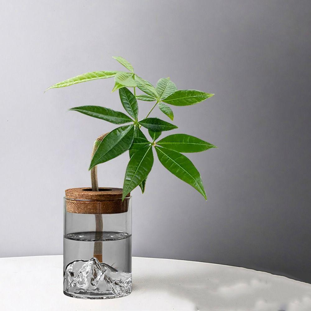 Glass Flower Vase Transparent Flower Pot Micro Landscape Bonsai Mountain Viewing Bottle  Gift