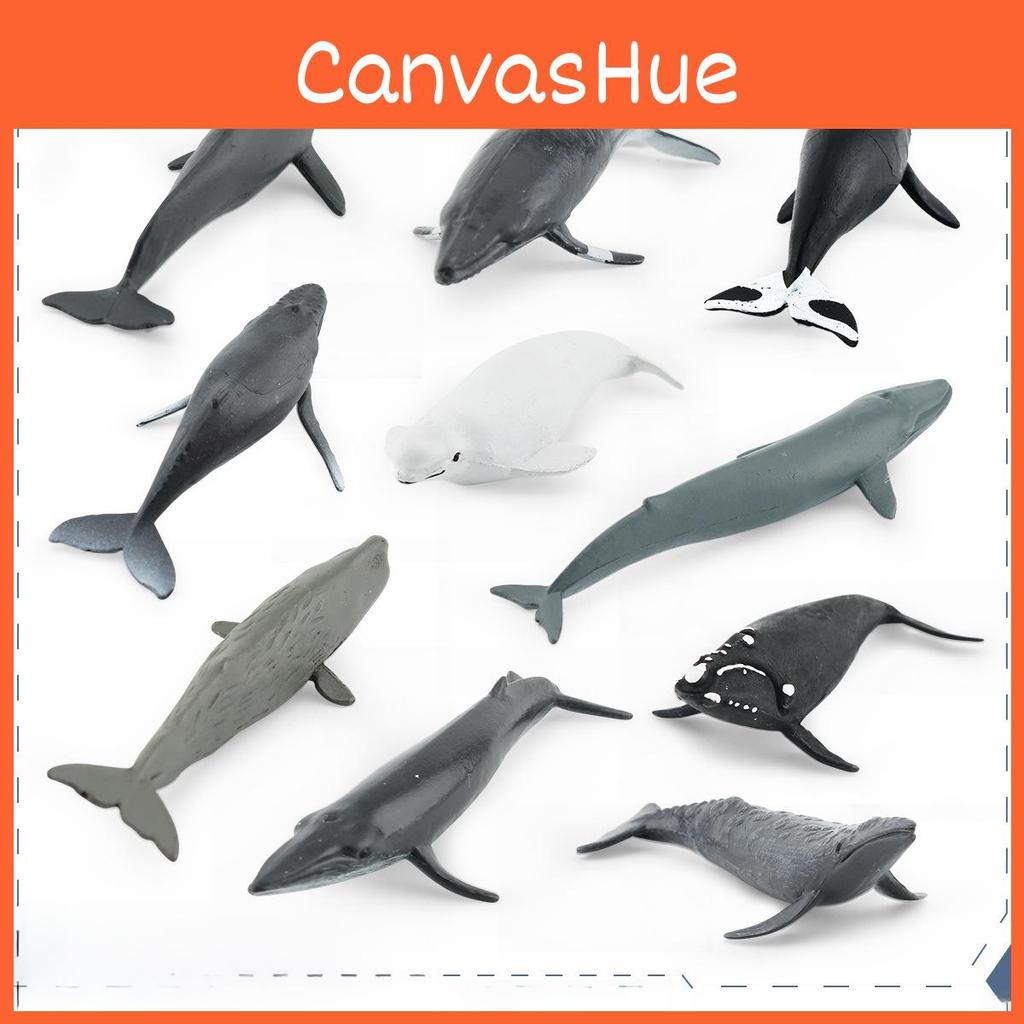 Meereslebewesen Beluga Wal Und Wal Nachbildung Modell Set PVC Spielzeug Für Aquarium Dekoration