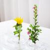 Hydroponic Floral Arrangement Holder Transparent Acrylic Desktop Decoration Multifunctional Container
