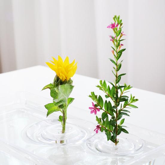 Hydroponic Floral Arrangement Holder Transparent Acrylic Desktop Decoration Multifunctional Container