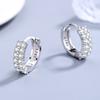 Silver Plated Earrings S925 Silver Earrings Silver Plated Double Row Diamond Zircon Earrings Earrings Earrings Women's Cute Jewelry