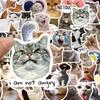 50 Hilarious Cat Expression Stickers for Phone Cases, Water Cups, and Skateboards - DIY Decoration