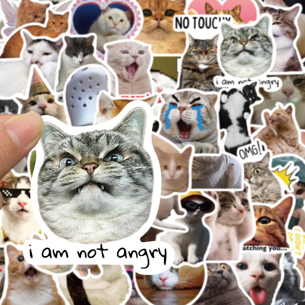 50 Hilarious Cat Expression Stickers for Phone Cases, Water Cups, and Skateboards - DIY Decoration