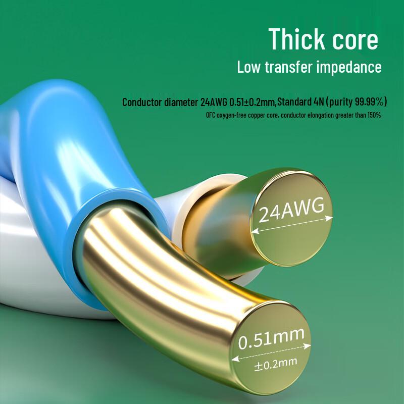 DashengGuang Professional Grade Ethernet Network Cable