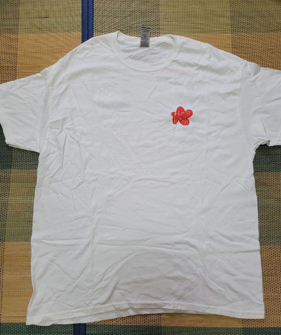 [USED] Aerosmith T-shirt, women s size M
