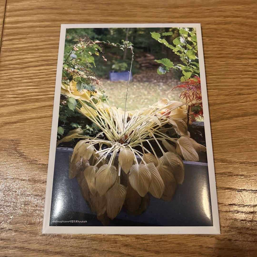 

[USED] HYUKOH through love