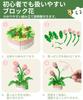 PieceRelax Plastic Block Flower Set Blossom Comes As a Set with a Planter Artificial Interior Toy 400-piece [Cherry Tree] (11x11x10cm) - 3D Puzzle.
