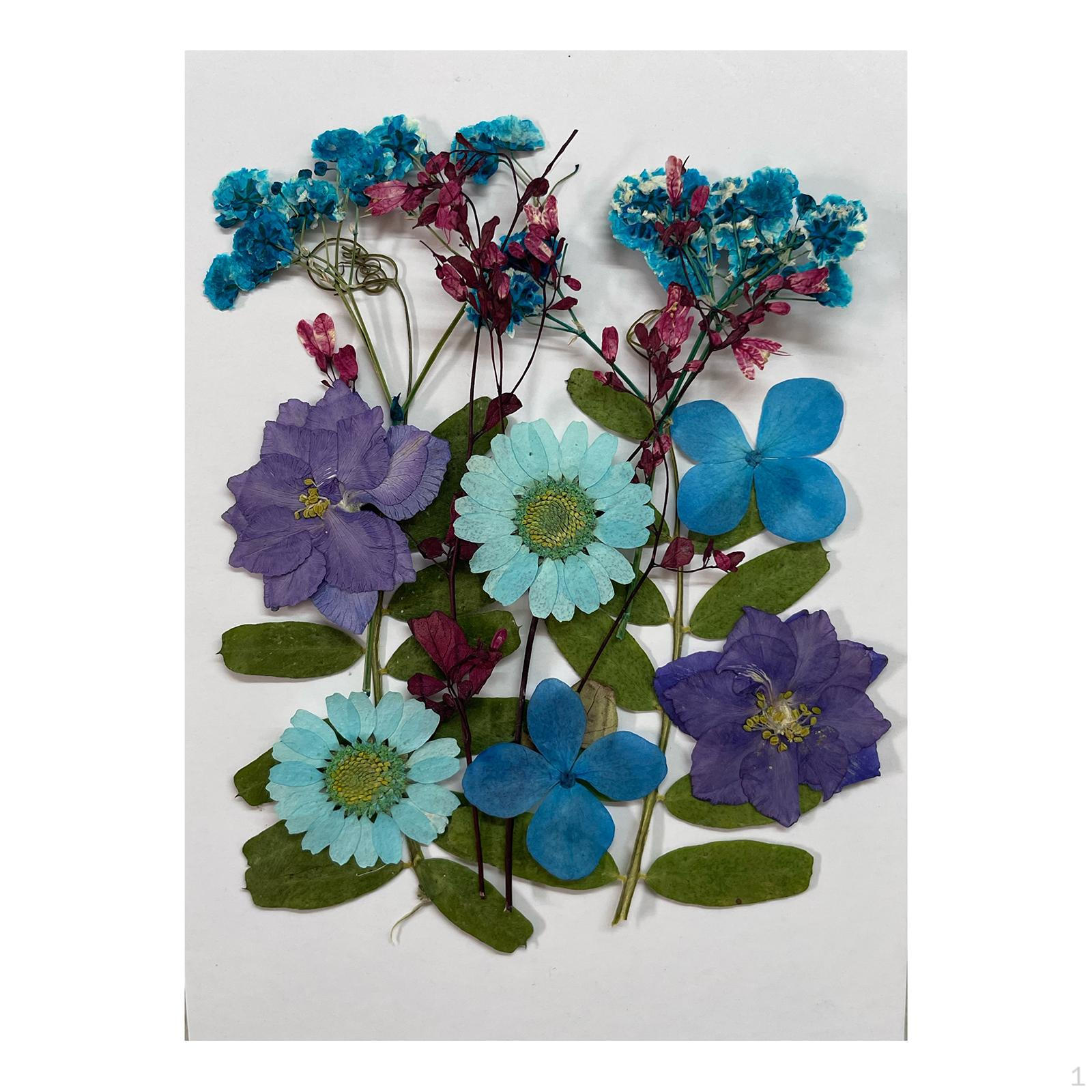 Assorted Pressed Floral Assortment for DIY Projects Blue and violet