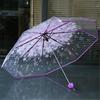 Fashionable Sakura Fresh Transparent Petal Umbrella with 8 Bones Fully Automatic 3-Fold Girls' Travel Umbrella Durable Sturdy