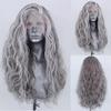 AIMEYA Loose Curly Synthetic Lace Front Wig Black Wig with White Highlights Women's Wig Daily Use  Halloween Cosplay Wig