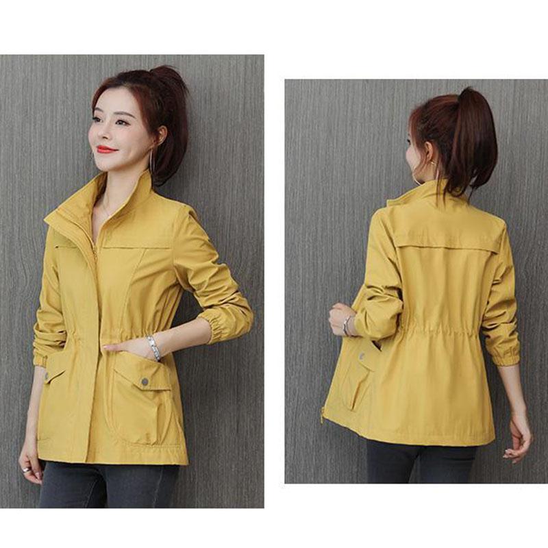 Stehkragen Windjacke Kordelzug Taille Design Damen Mittellanger Schlanker Mantel Einfarbig Einfach Lässig Pendeln Temperament Britischer Stil Frühling Herbst