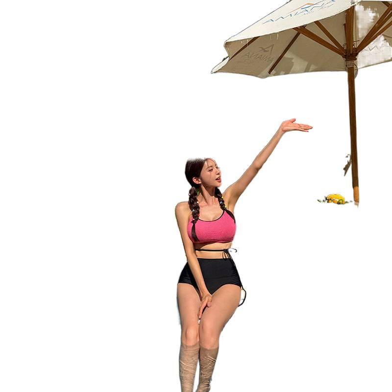 Ins Split Swimsuit Women's Sexy Small Breasts and High Waist To Cover Their Belly and Look Thin Summer New Fashion Swimsuit