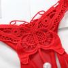 Solid Color Embroidered Butterfly Women's Underwear Open Crotch Erotic Thongs Sexy Porn Panties for Female Nightclub Fun T-Back