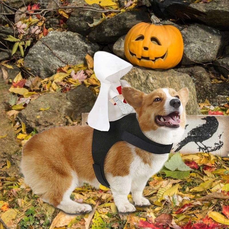 Funny 3D Knight Killers Costume for Dogs Pet Holiday Accessories Halloween Suitable for Cats and Dogs