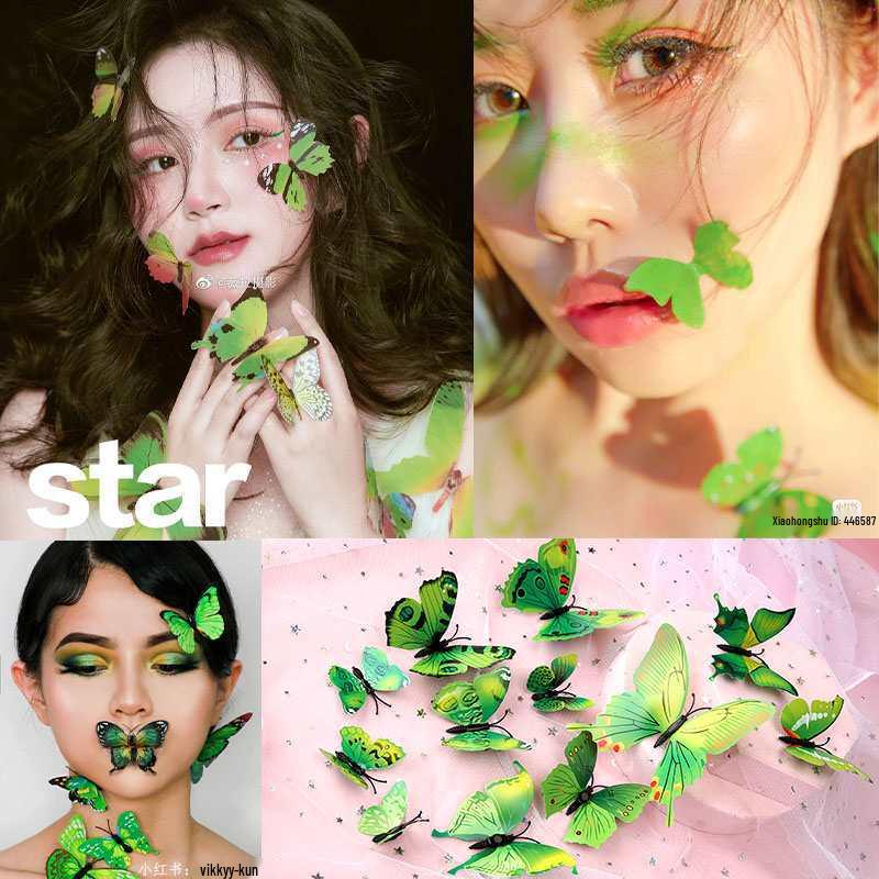 3D Butterfly Face Makeup Accessory - Double-Layer Transparent Photo Prop for Creative Makeup Looks