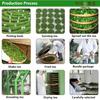 100g 50 Years 1 Pack Mini Tuocha Old Pu'er Select Tea Yunnan Pu'er Tea Puer Pu