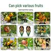 Extendable High-Altitude Fruit Picker