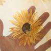 Sunflower Tulle Curtains For Living Room Bedroom Kitchen Window Panels Drapes Sheer Voile Home100*200cm Home Decoration
