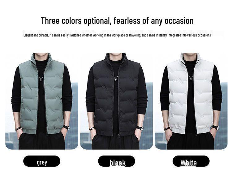 Men's 80% Down Vest - Autumn/Winter 2025, Loose Fit, Stand Collar, Sleeveless Casual Jacket