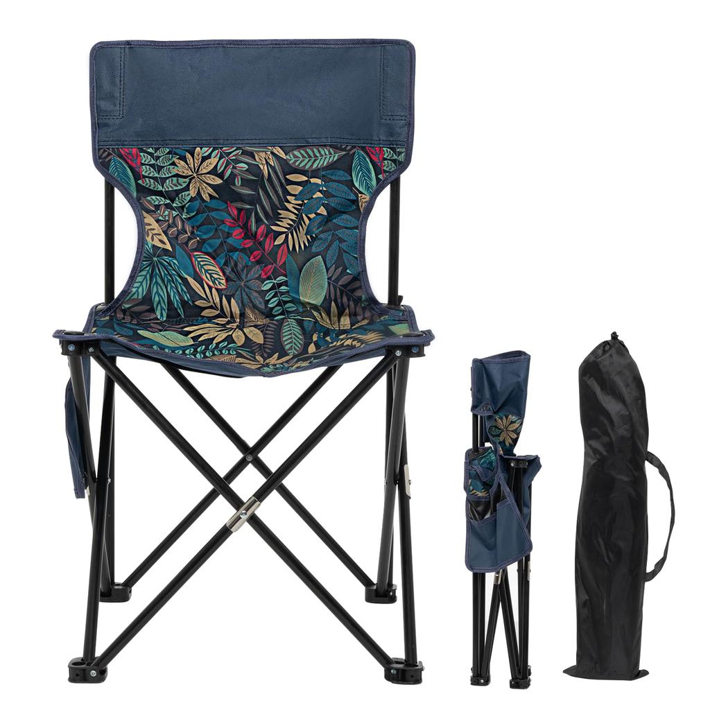 Portable Outdoor Folding Chair, Black Train Stool for Camping and Sketching with Backrest & Storage Bag