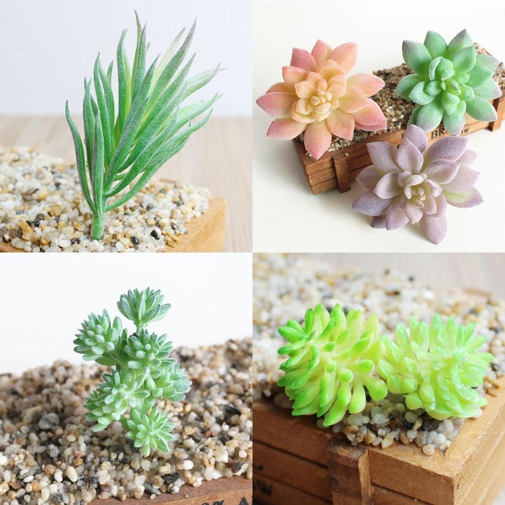 Vibrantly Colored Mini Artificial Succulents For Stylish Floral Office Decor