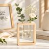 Wooden Glass Tube Vase Minimalist Hydroponic Flowerpot Plant Stand Flower Holder  Living Room