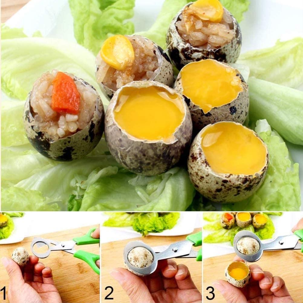 2PCS Stainless Steel Quail Egg Scissors Egg Shell Cutting Scissors Egg Divider Egg Opener Kitchen