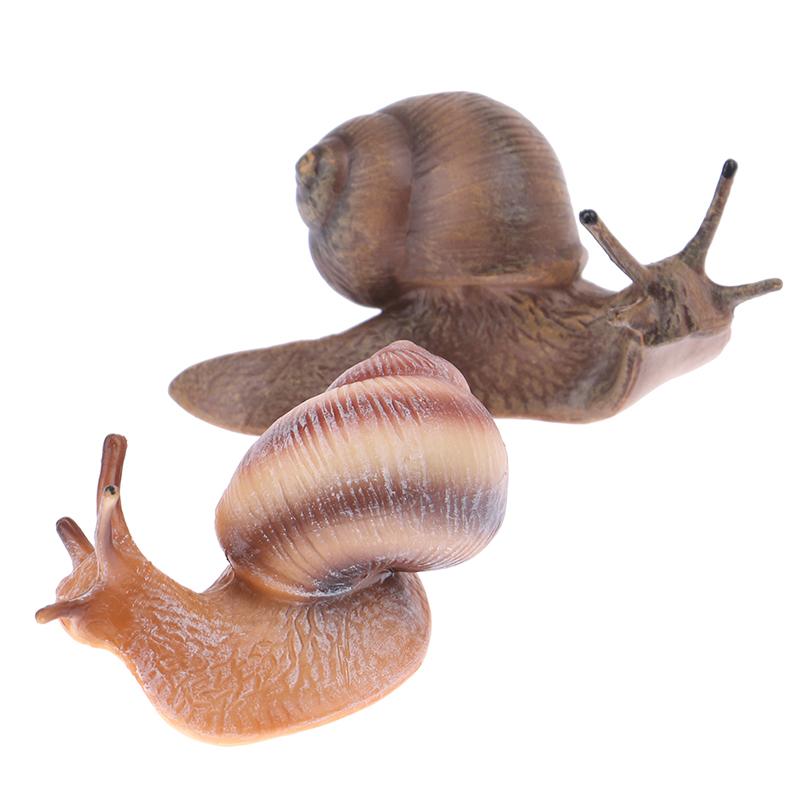 Simulation Animal Insect Model Mini Animal Snail Growth Cycle Ornament
