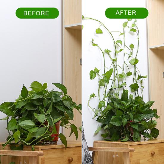 100 stk selvklebende hjemmeveggplante klatrefikserholder klips vinklemmekrok