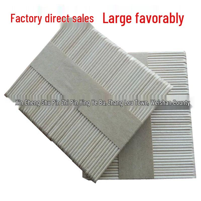 Noodle Strips and Eco-friendly Birch Popsicle Sticks (93*10*2mm)
