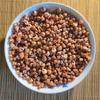 Natural Conch Red Pigment Shell for Aquarium Landscaping & Hermit Crab Replacement