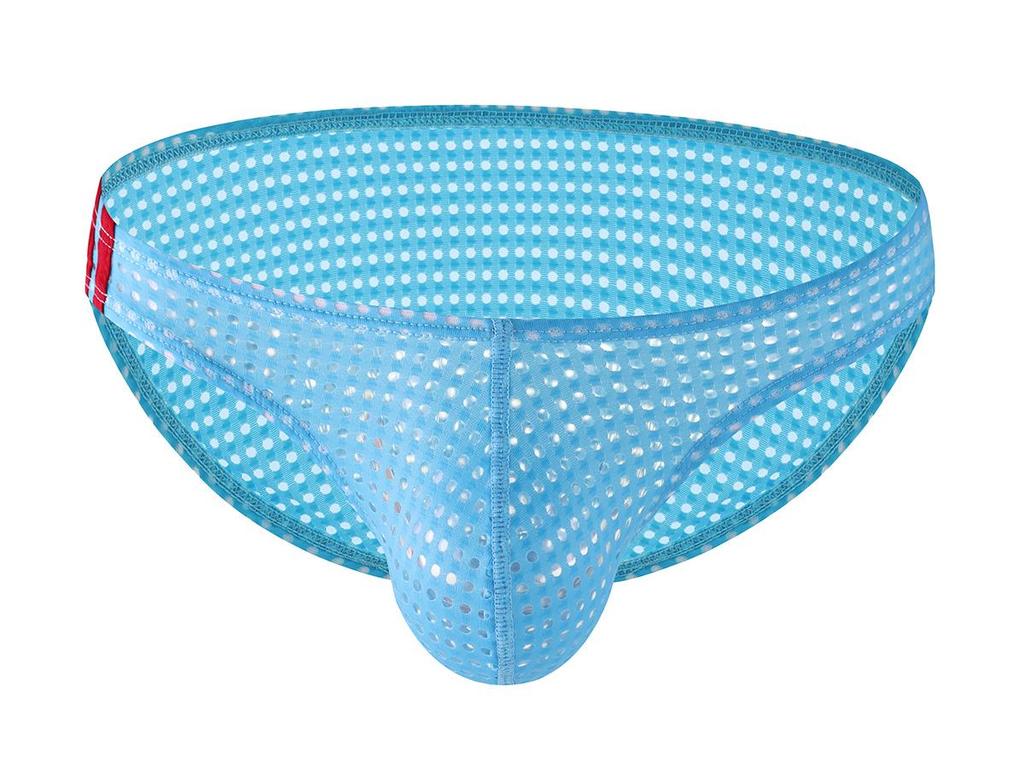 Men's Mesh Net Yarn Sexy Low-Rise Triangle Briefs - Japanese & Korean Style E-096
