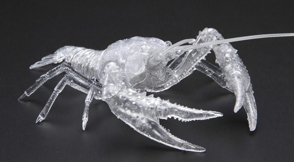 Fujimi Model Free Research Series Living Creatures Edition American Crayfish Free Research No.24 EX-3 (Transparent) 24EX-3