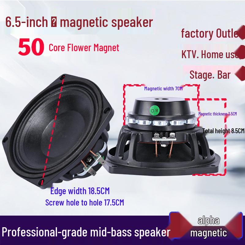 6.5-21 inch High-Power Mid-Bass Pro Stage Speaker with Neodymium Magnet