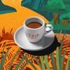 Kaffeebohnen Trip Coffee Brasilien 100% Arabica 1Kg Frisch Geröstet