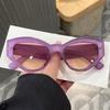 Cat Eye Shape Sunglasses Women European American Style Sun Glasses for Men UV400 Protection Sunglass Women