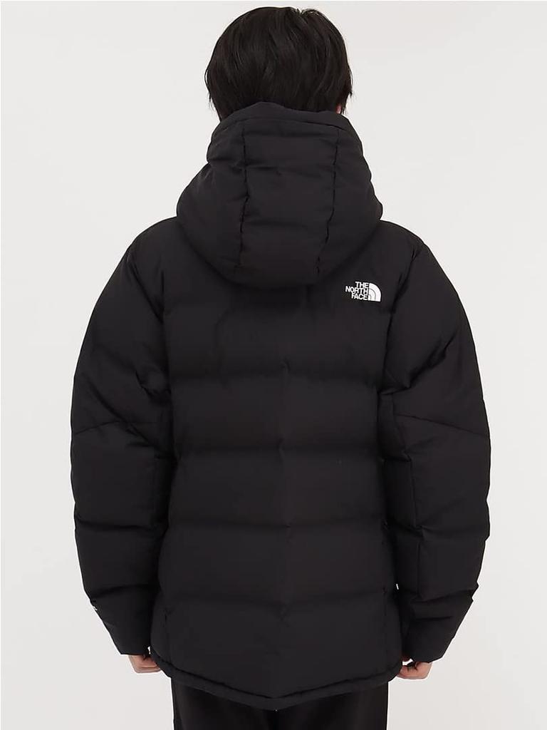 The North Face Belayer Mineral Size L Parka, Unisex, Photonic, Warm, Windproof, Gold,