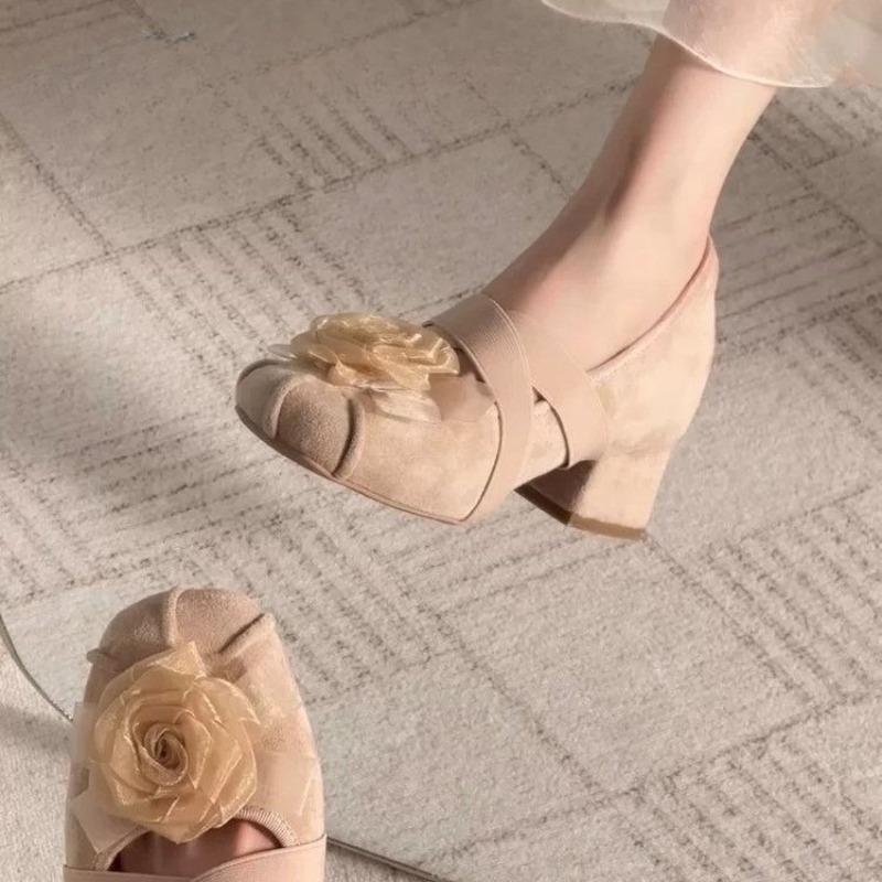 Small Inside Heightened Shallow Single Shoes Women's Spring 2025 New Retro French Temperament Mary Jane Shoes