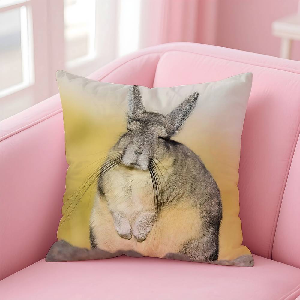 

Anime Cute Rock Hyrax Animal Pillow Case Anti-dustmite Pillow Invisible zipper silky short plush Sofa cushion cover 16x16Inch
