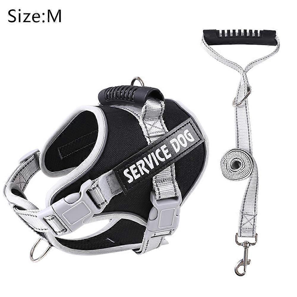 Animals & Pet Supplies > Pet Supplies > Pet Collars & Harnesses