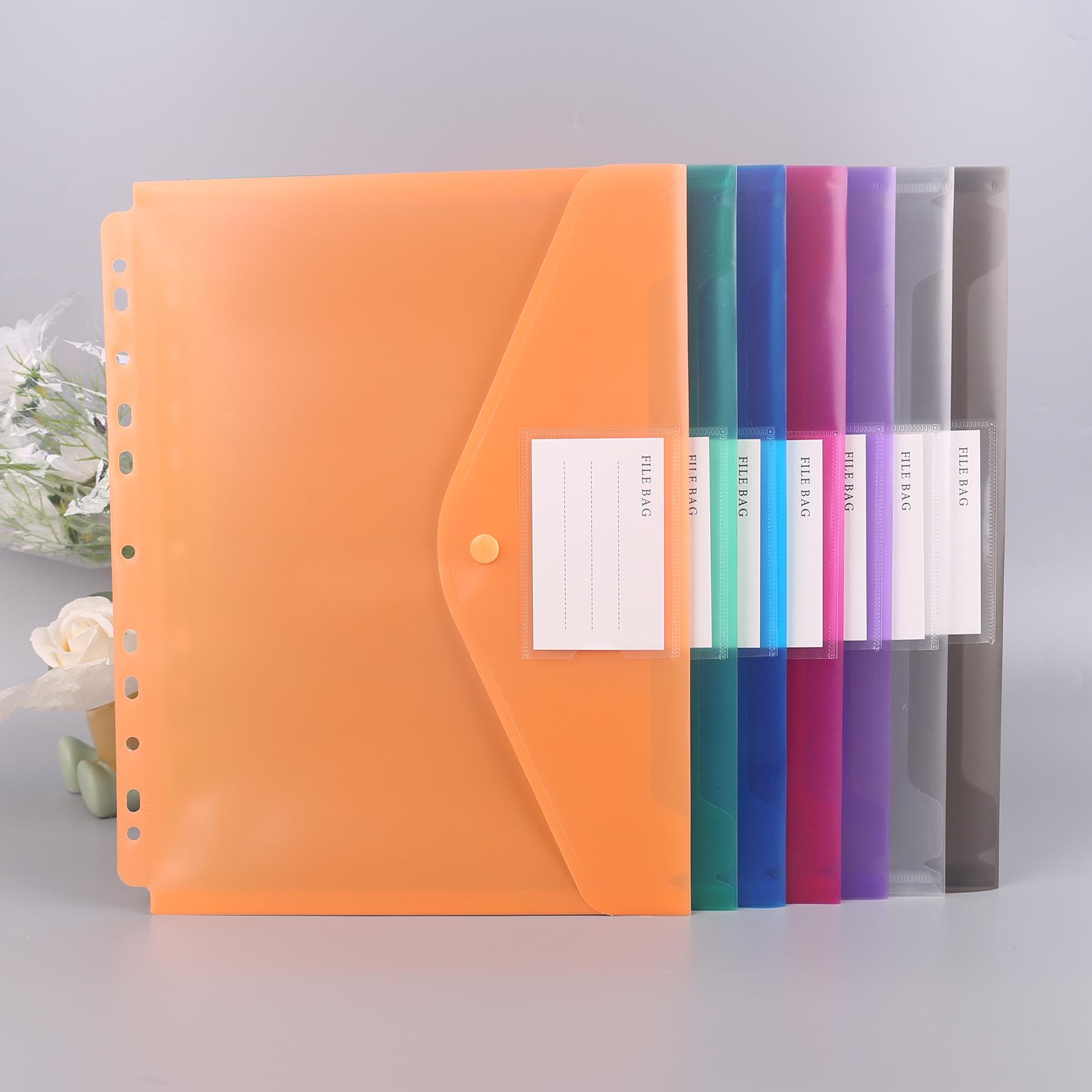 Прозрачная папка-регистратор А4 с прозрачными вкладышами для страниц 579₽