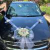 Decorazione per Auto Nuziale Senza Pollini Nastro di Garza Multicolore per Auto Fiocco 'Just Married'