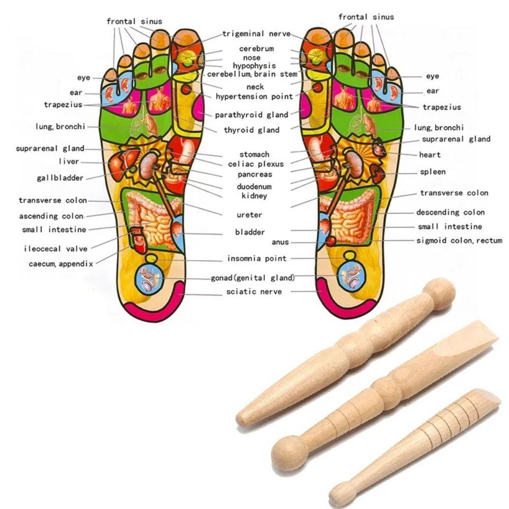 3Pcs Portable Foot Body Massage Stick Sole Reflexology Acupoint Massager  Relaxing Massage Tool