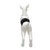 Pet Shorts Mesh Dog Physiological Pants Anti-Harassment Reusable Pet Underwear Washable Dog Panties Menstrual Period