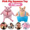 Cute Squeeze Pink Pig Toy Stress Relief Toy Decompression Soft Sensory Slow Rebound Pink Animals Vent Toys Gifts for Girls Boys