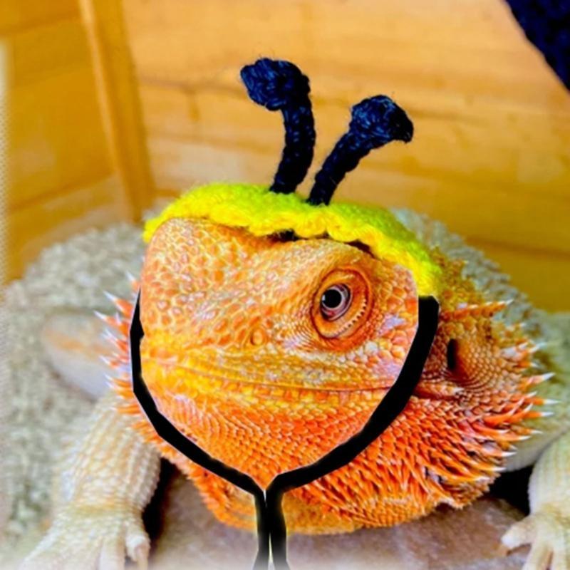 J0MC Fun Leash for Reptiles Outfit Comfortable Costume Geckos Lizards Bearded Dragon