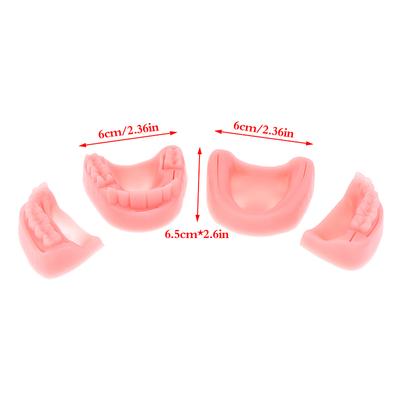 4Pcs Dental Simulation Oral Suture Model Gum Suture Teaching Training Equipment