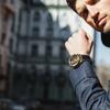 Automatic Watch TS2002B Brown [Tax] Men's