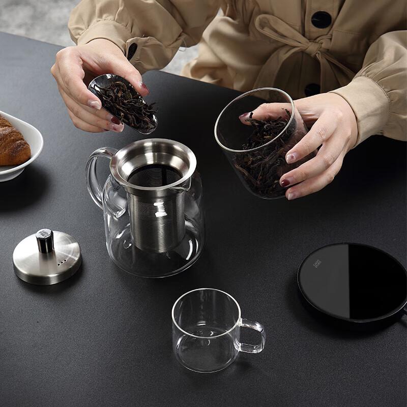 Heat-Resistant Glass Teapot with Glass Infuser