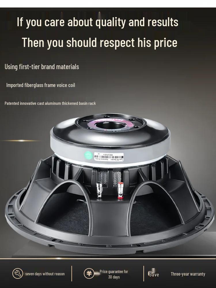 

15-inch 220 Magnetic Core 1000W Outdoor Full-Range Subwoofer with 100mm Voice Coil